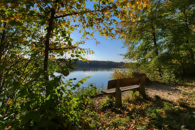 国足热身赛小胜沙特展现新阵容