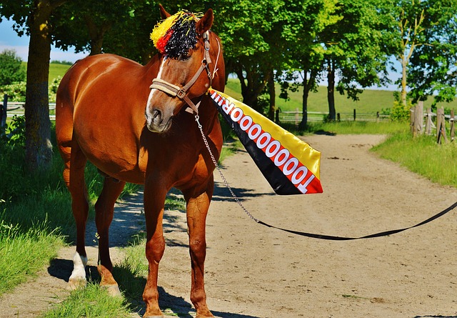 那不勒斯VS尤文，皇马VS塞尔塔，比分精准预测，那不勒斯要登顶？