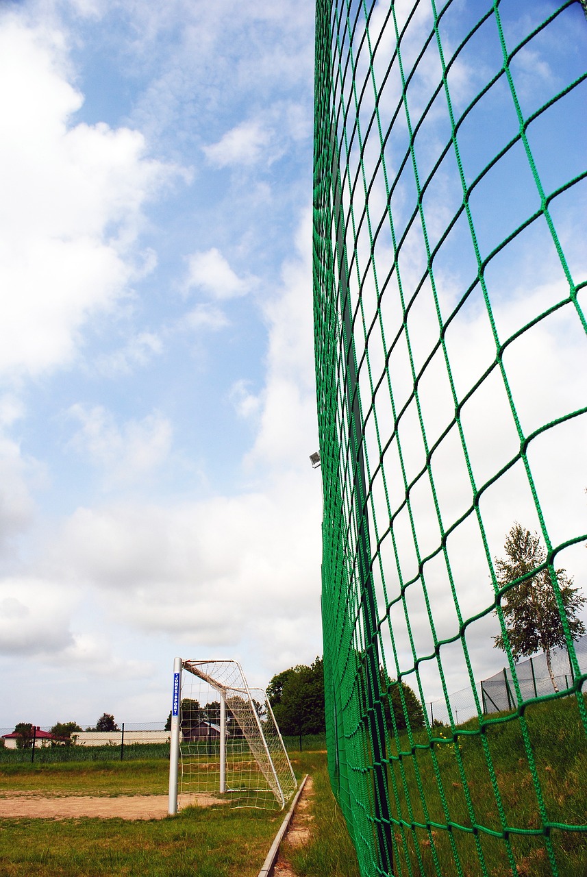 向余望谈冲超：感谢球迷和教练团队这一年的努力，我们做到了